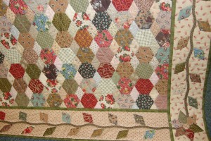 Faye Budd hexy quilt, wagga class, lucy boston block 001